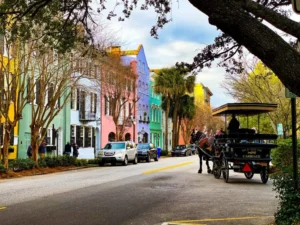 An Old South Carriage horse-drawn tour carriage passing in front of Charleston's colorful Rainbow Row, with yellow, mint, pink, blue, and green historic facades lining the tree-shaded street