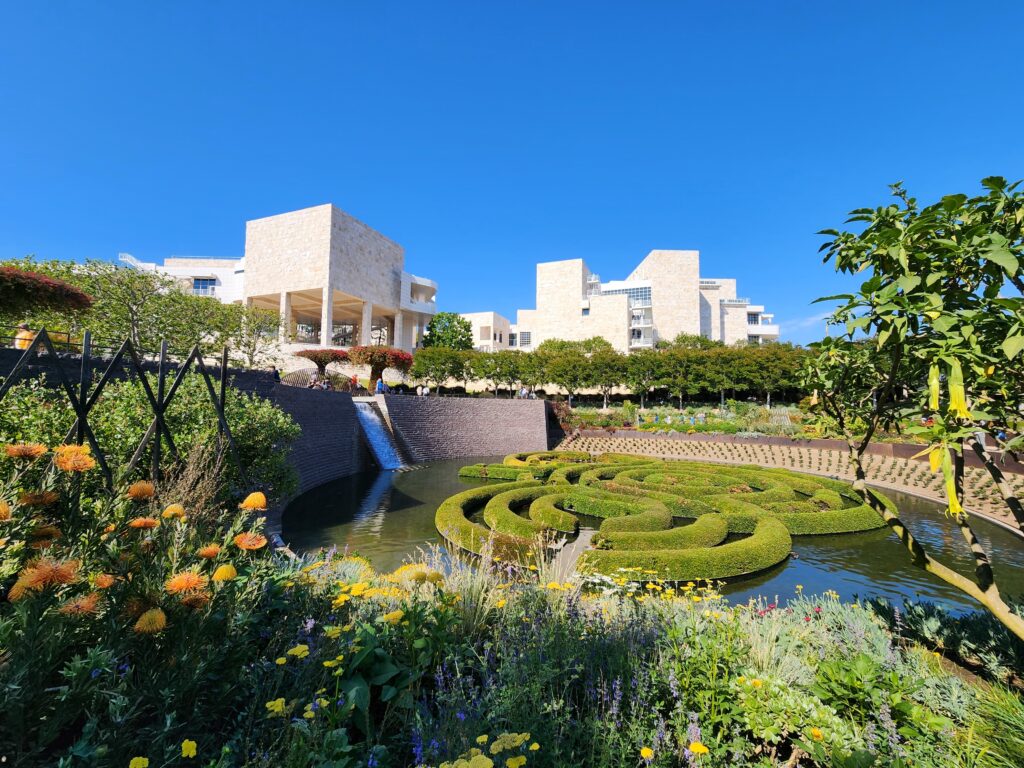 a close up of a flower garden