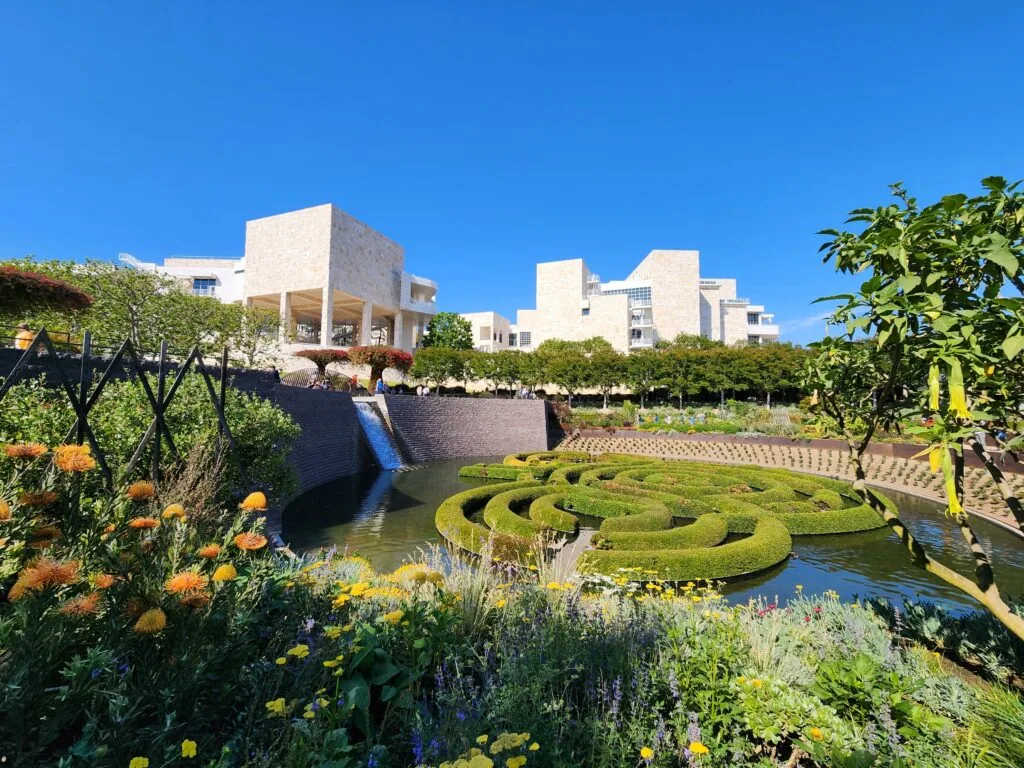 a close up of a flower garden