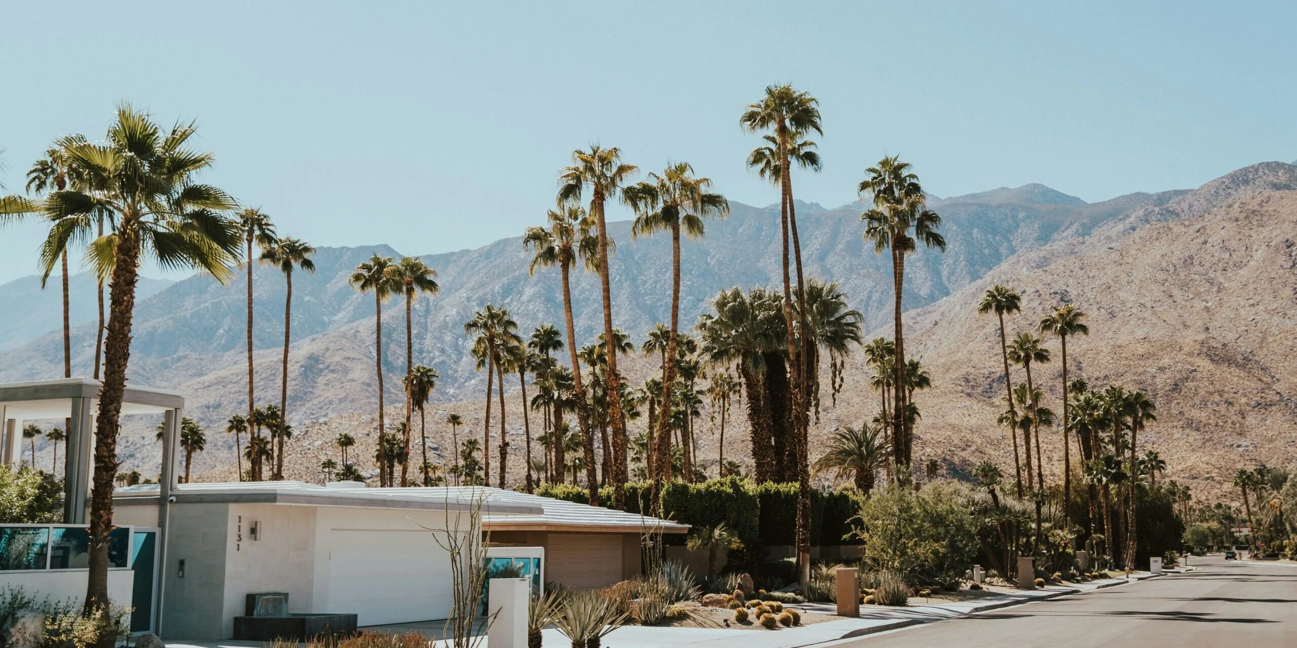 A sunny Palm Springs residential street lined with tall palm trees and mid-century modern homes, with dramatic rocky desert mountains rising in the background under a clear blue sky.