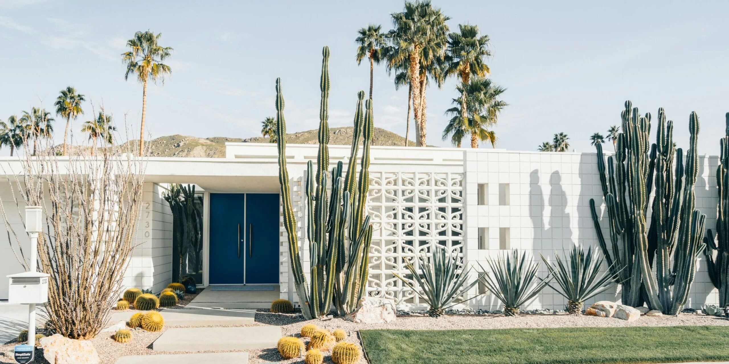 A mid-century modern white home with a bold navy blue front door, surrounded by tall cacti, agave plants, and barrel cacti, with palm trees and desert mountains in the background, typical of Palm Springs architecture.