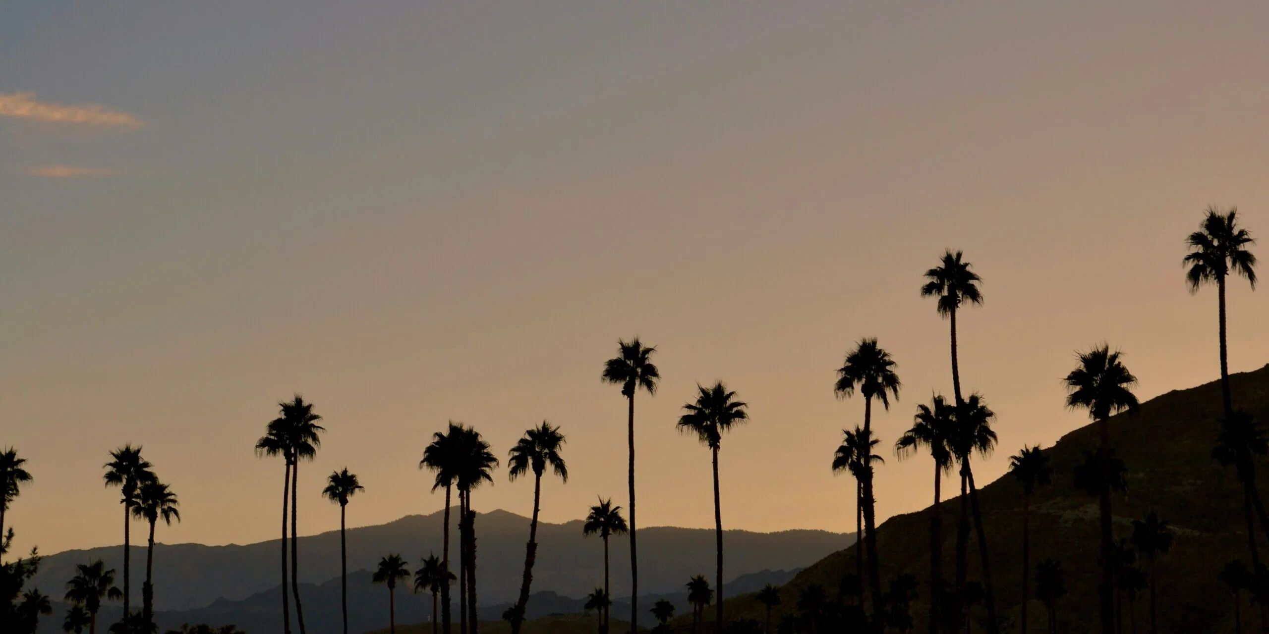 Silhouettes of tall palm trees against a warm golden sunset sky with layered mountain ridges in the background, evoking a classic Southern California desert landscape.