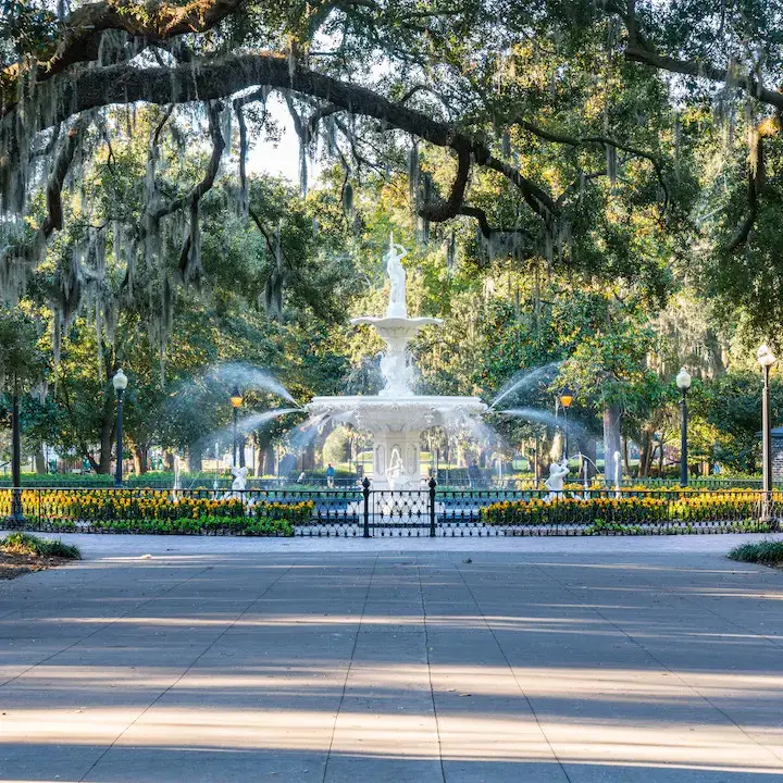 Tree-lined park pathway with a fountain in the background on a sunny day