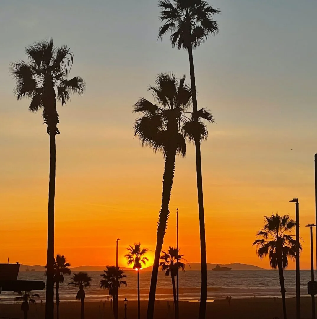 Vibrant palm tree silhouettes against an orange and pink sunset sky