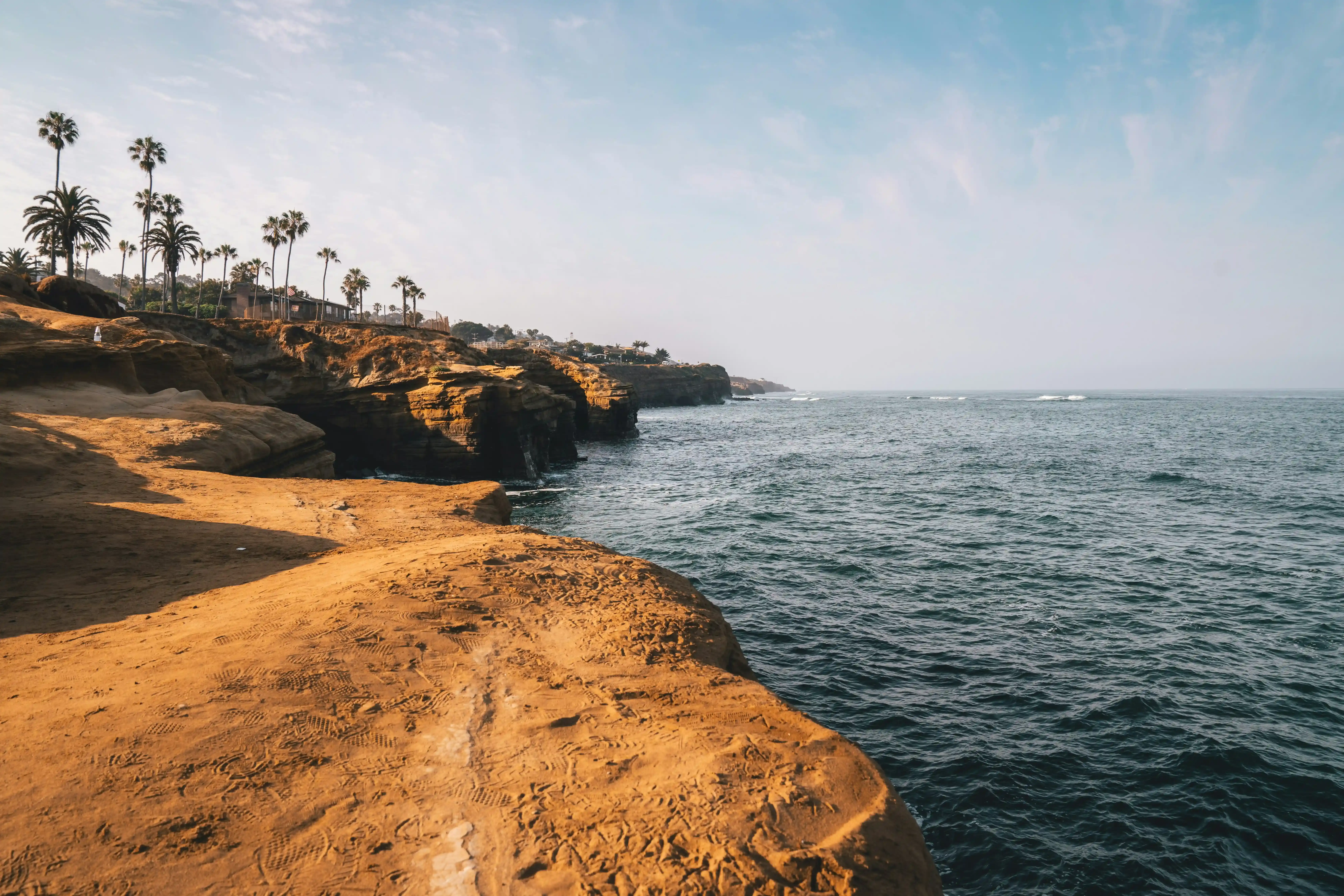 Warm golden sandstone cliffs at Sunset Cliffs in San Diego, with footprints on the rocky surface, sea caves along the shoreline, palm trees lining the bluff top, and the Pacific Ocean stretching to the horizon